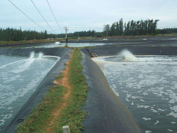 晟展土工膜 晟展土工膜